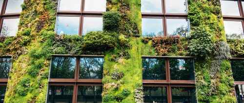 Green Building In Paris