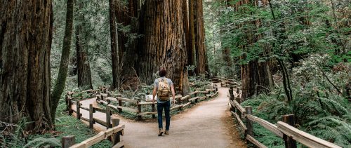 Embracing-the-evolutionary-career Embracing the Evolutionary Career