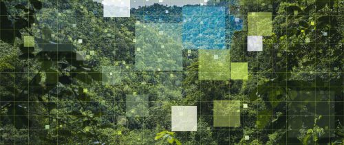 Digital nature related concept, Internet of things, networking, Big data, measure the nature